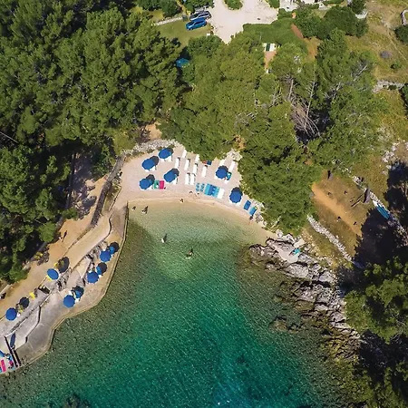 Apartment 1 Bedroom In *